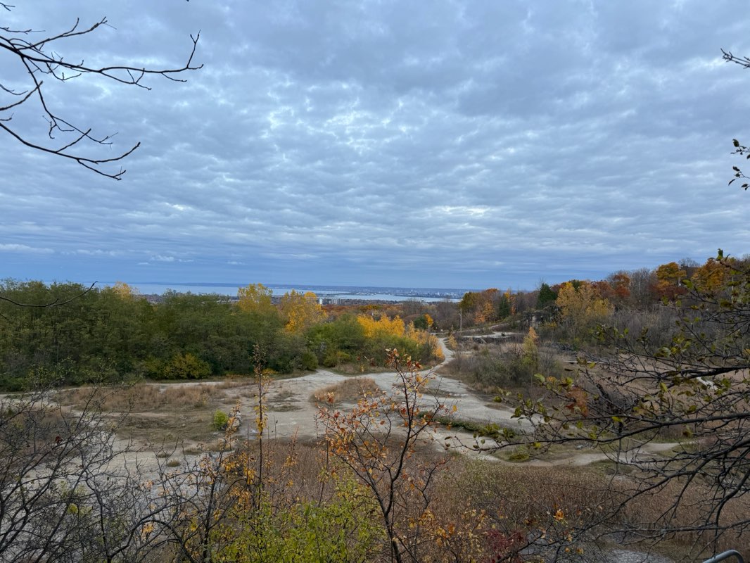 walking near me in City View Park in autumn