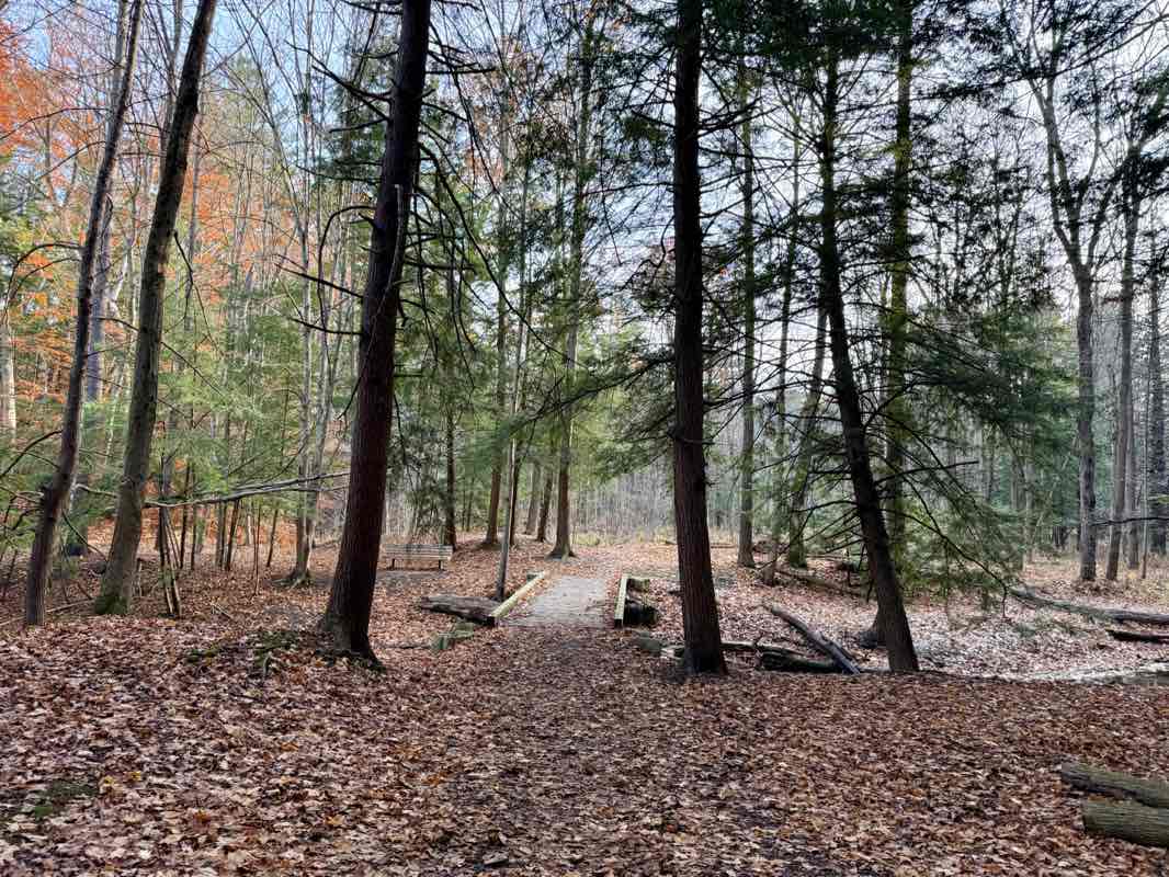 walking near me in Alexander Park in autumn