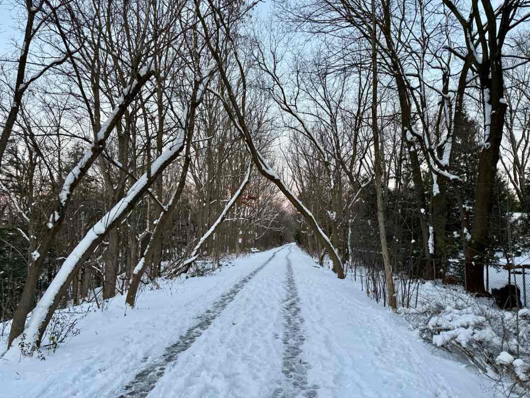 walking near me in Stroud Road Park in autumn