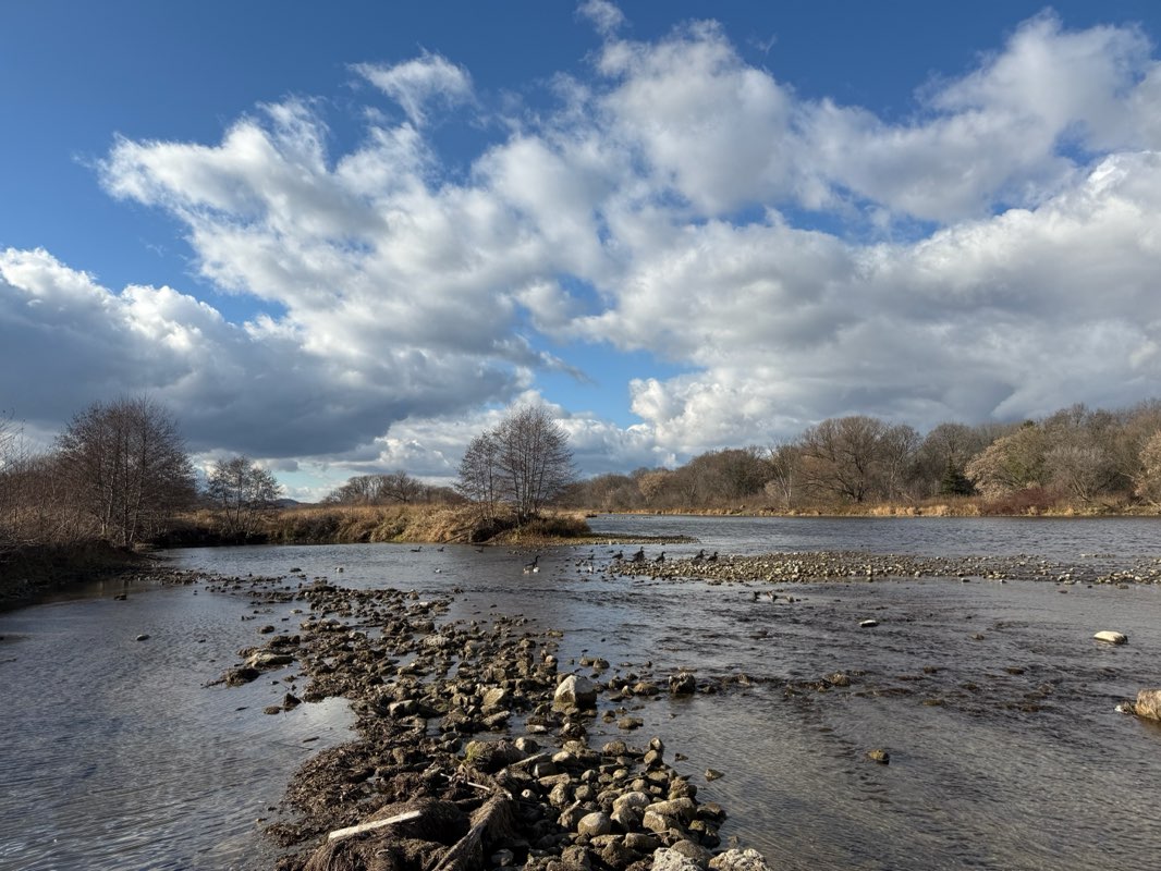 walking near me in Victoria Park in autumn