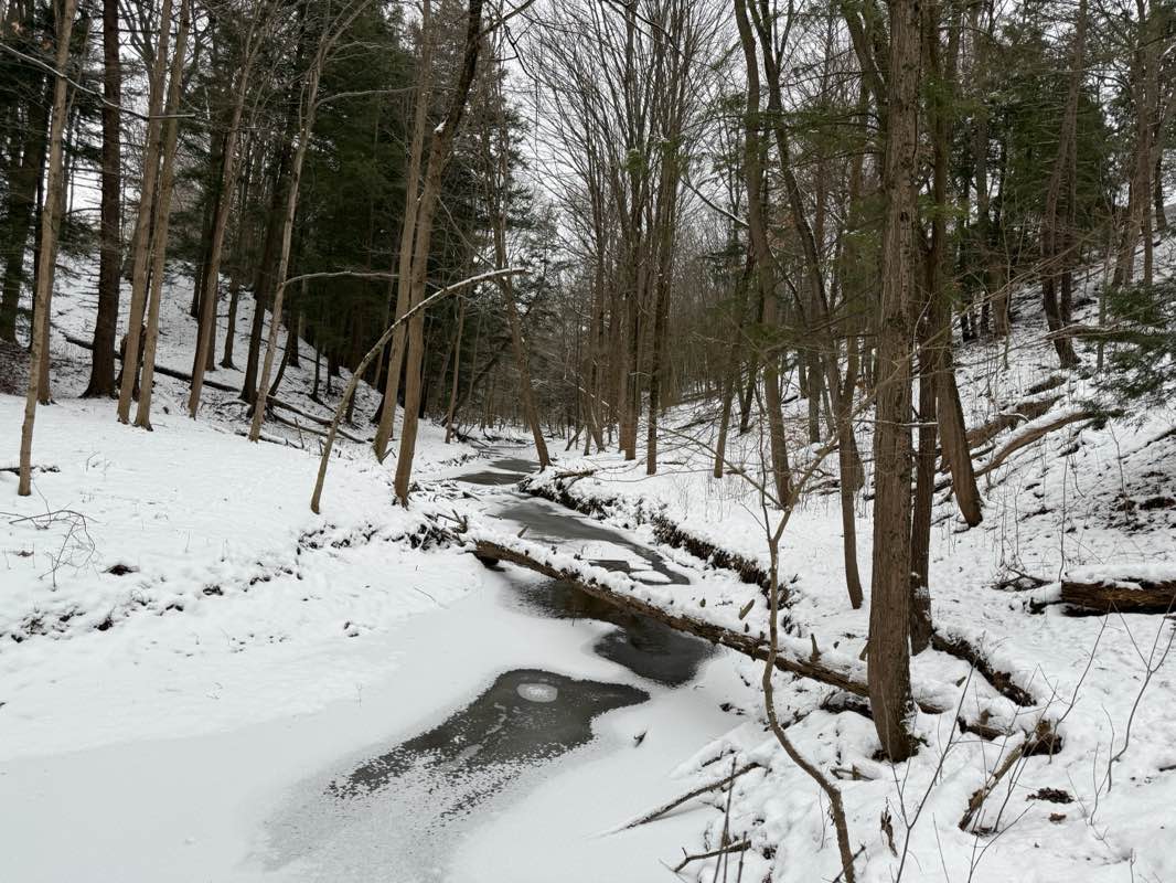 walking near me in Veterans Memorial Park in winter