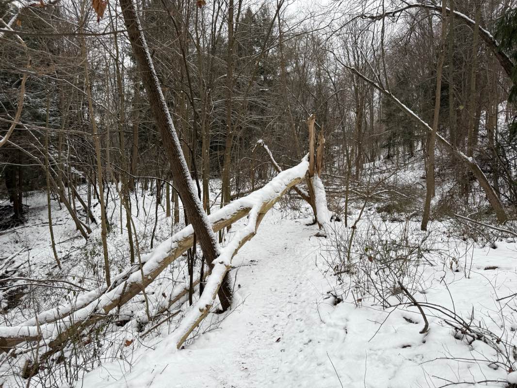 walking near me in Veterans Memorial Park in winter
