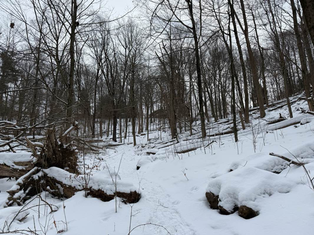 walking near me in Sanctuary Park in winter