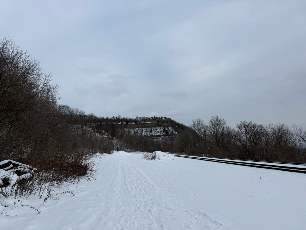 walking near me in Dundas Driving Park in winter