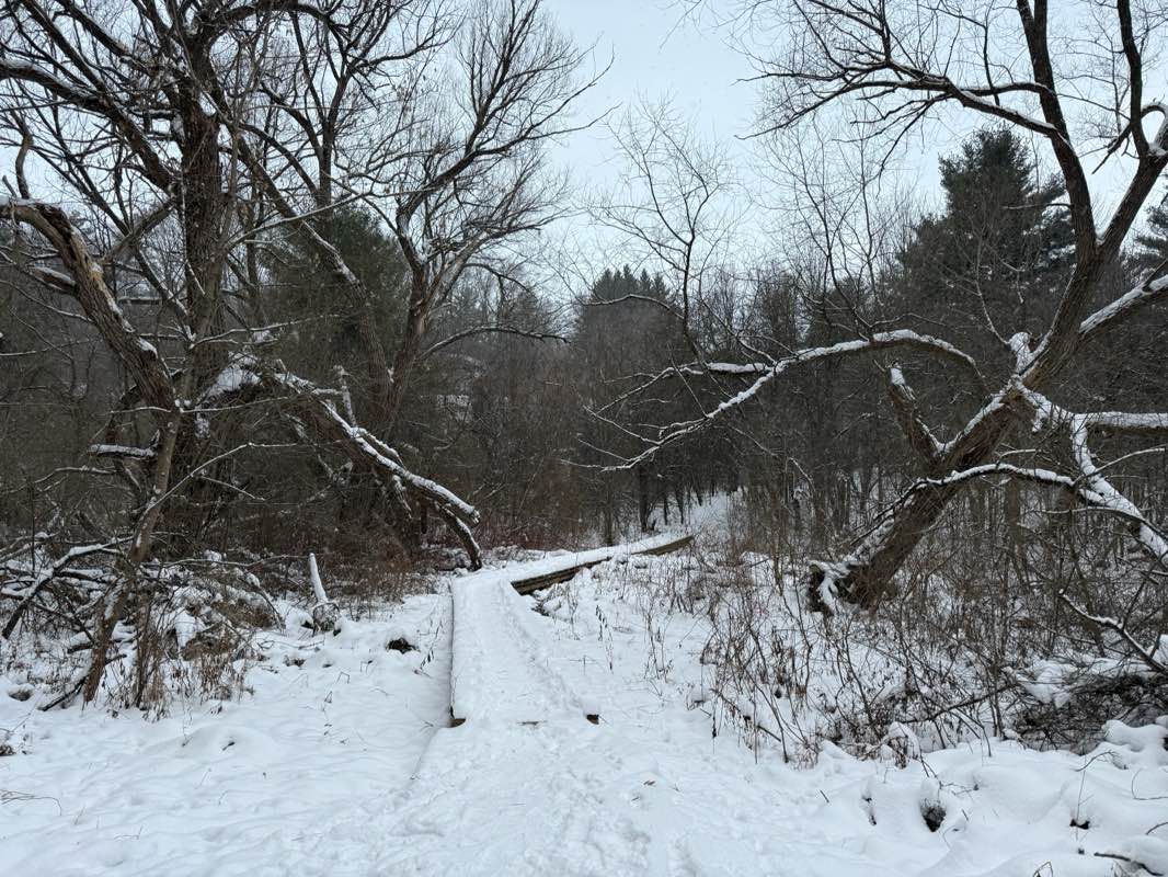 walking near me in Highland Gardens Park in winter