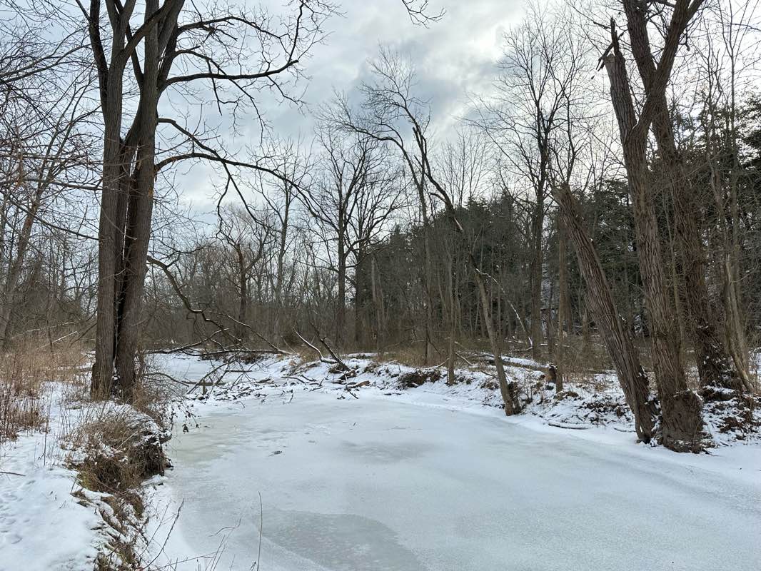 walking near me in JHE Field in winter