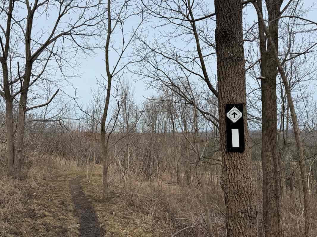 walking near me in Highland Gardens Park in spring