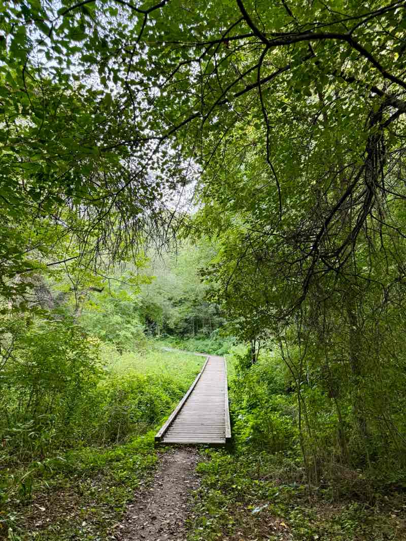 walking near me in Dundas Driving Park in autumn
