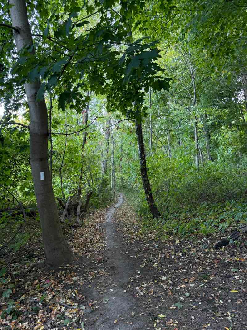 walking near me in Mohawk Sports Park in autumn