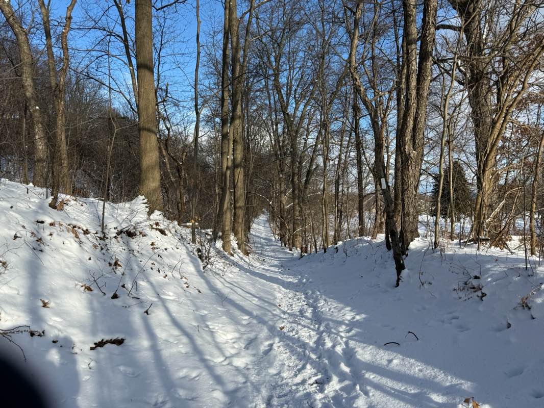 walking near me in Veterans Memorial Park in winter