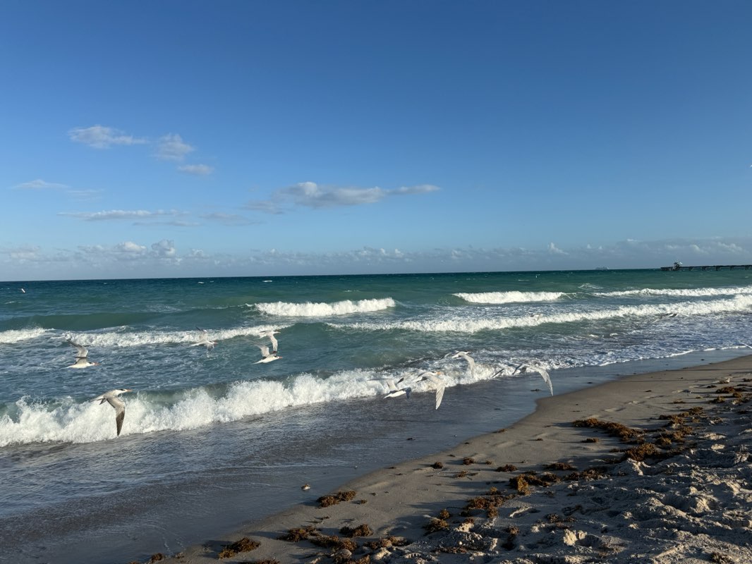 walking near me in Bay View Drive Park in winter