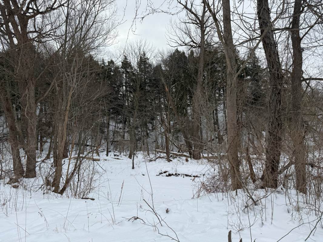 walking near me in Veterans Memorial Park in winter
