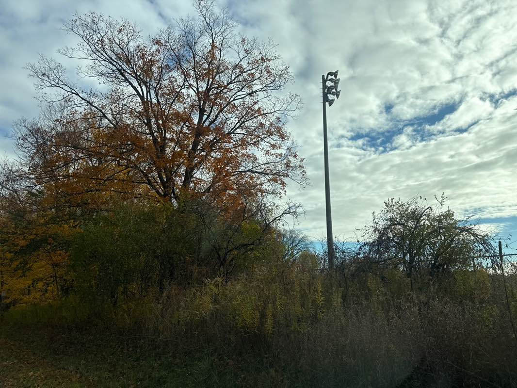 walking near me in Joe Sam's Leisure Park in autumn