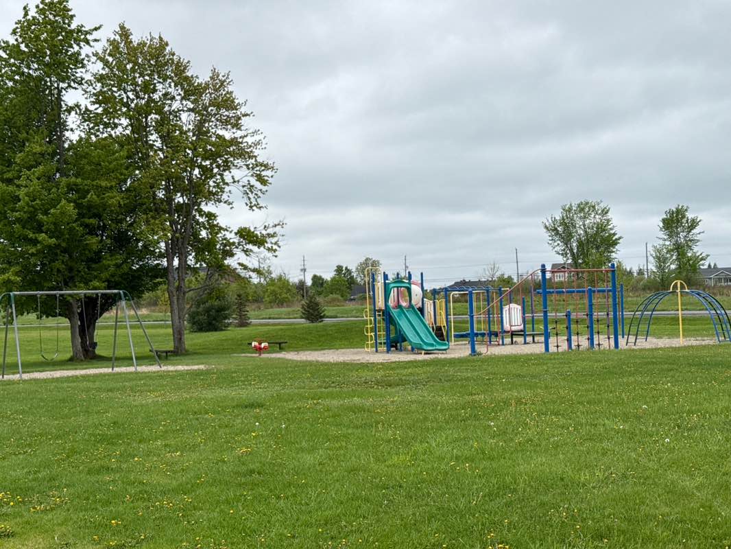 walking near me in Porcupine Park in spring