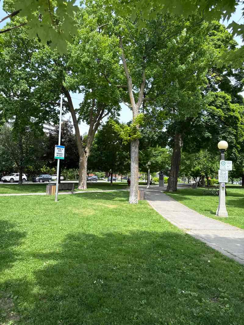 walking near me in Minto Park in summer