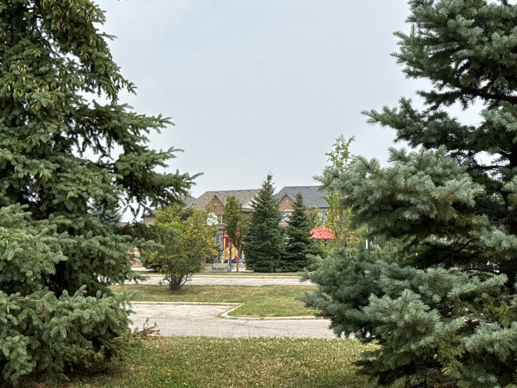 walking near me in Scott Neighbourhood Park East in summer