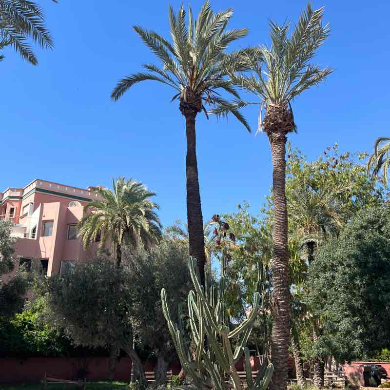 Thierry Achraf Arnoux post 2