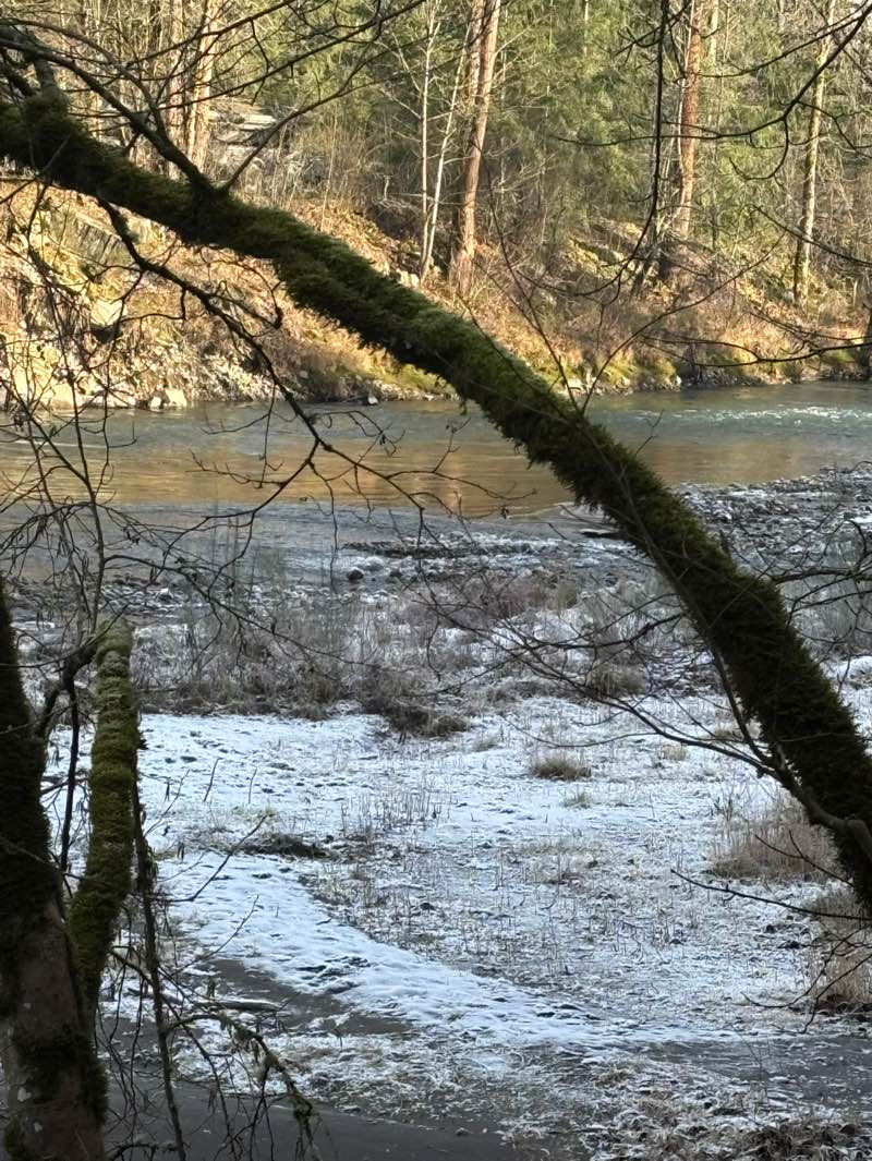 walking near me in Game Farm Wilderness Park in winter