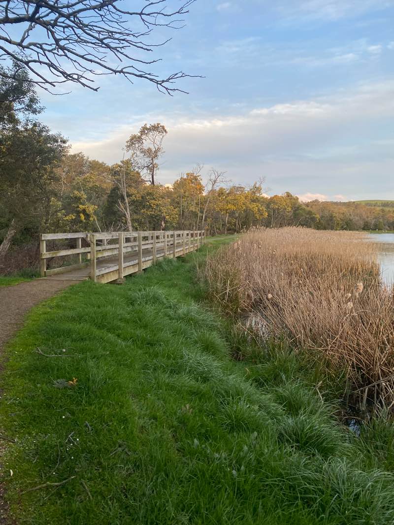walking near me in Waverley Lake Park in spring