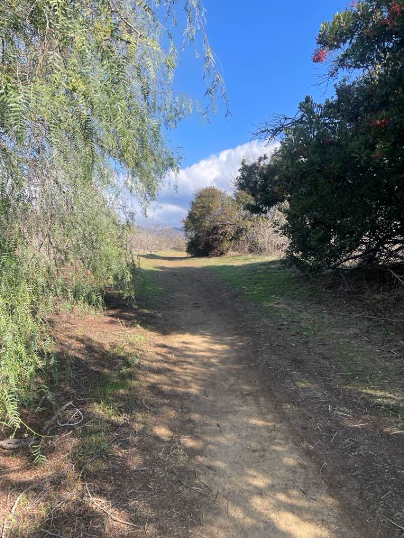 walking near me in Gladstone Park in winter