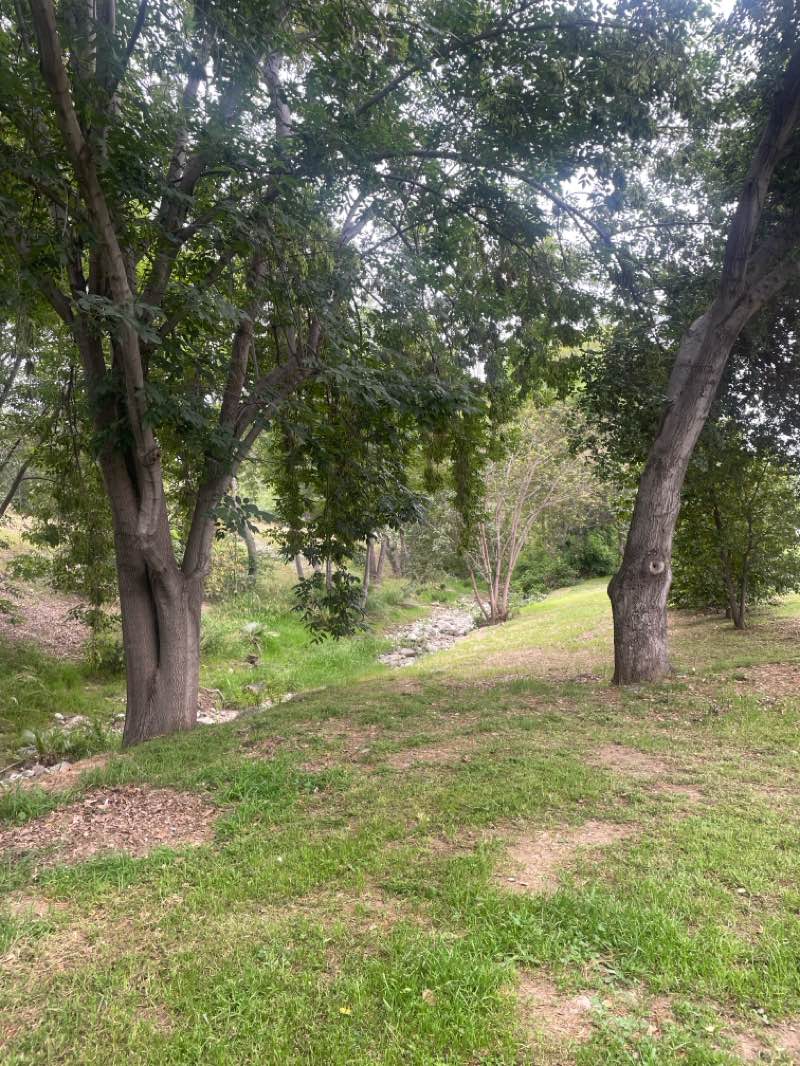 walking near me in Kahler Russell Park in spring