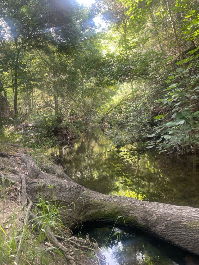 walking near me in Wilderness Park in spring