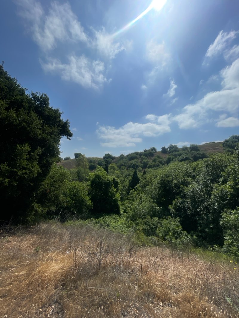 walking near me in Frank G. Bonelli Regional Park in spring