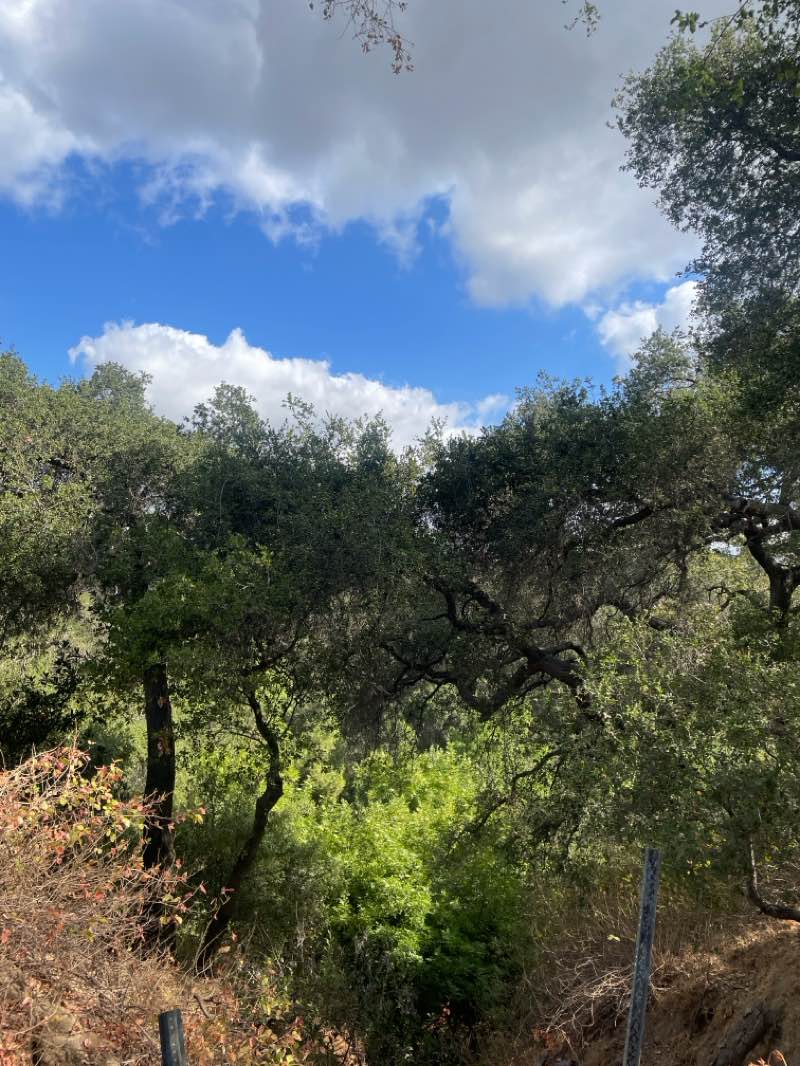 walking near me in Walnut Creek Park in autumn