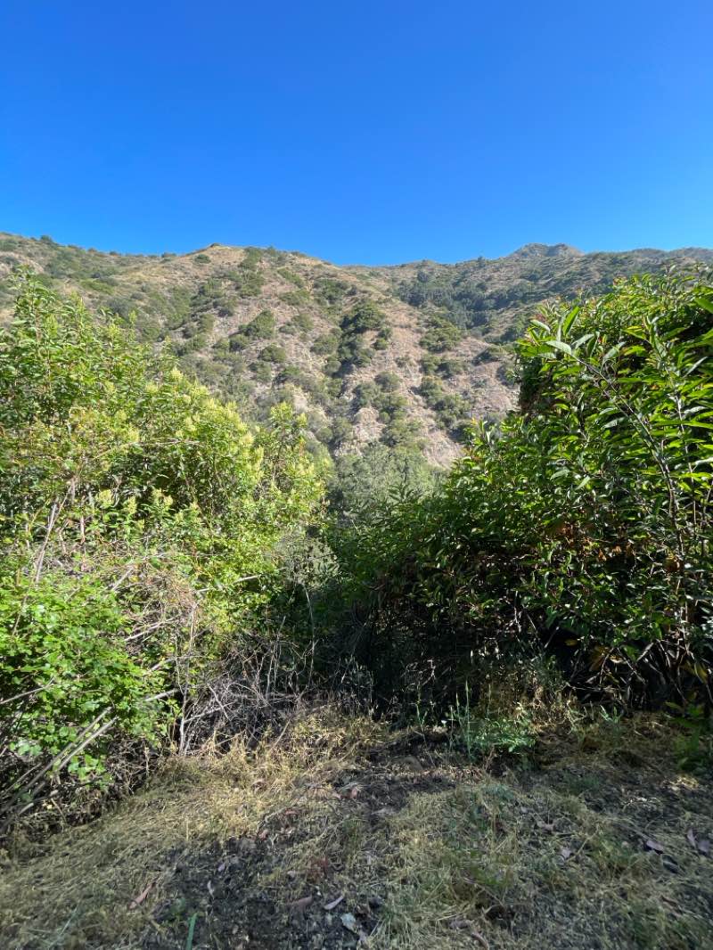 walking near me in Angeles National Forest in summer