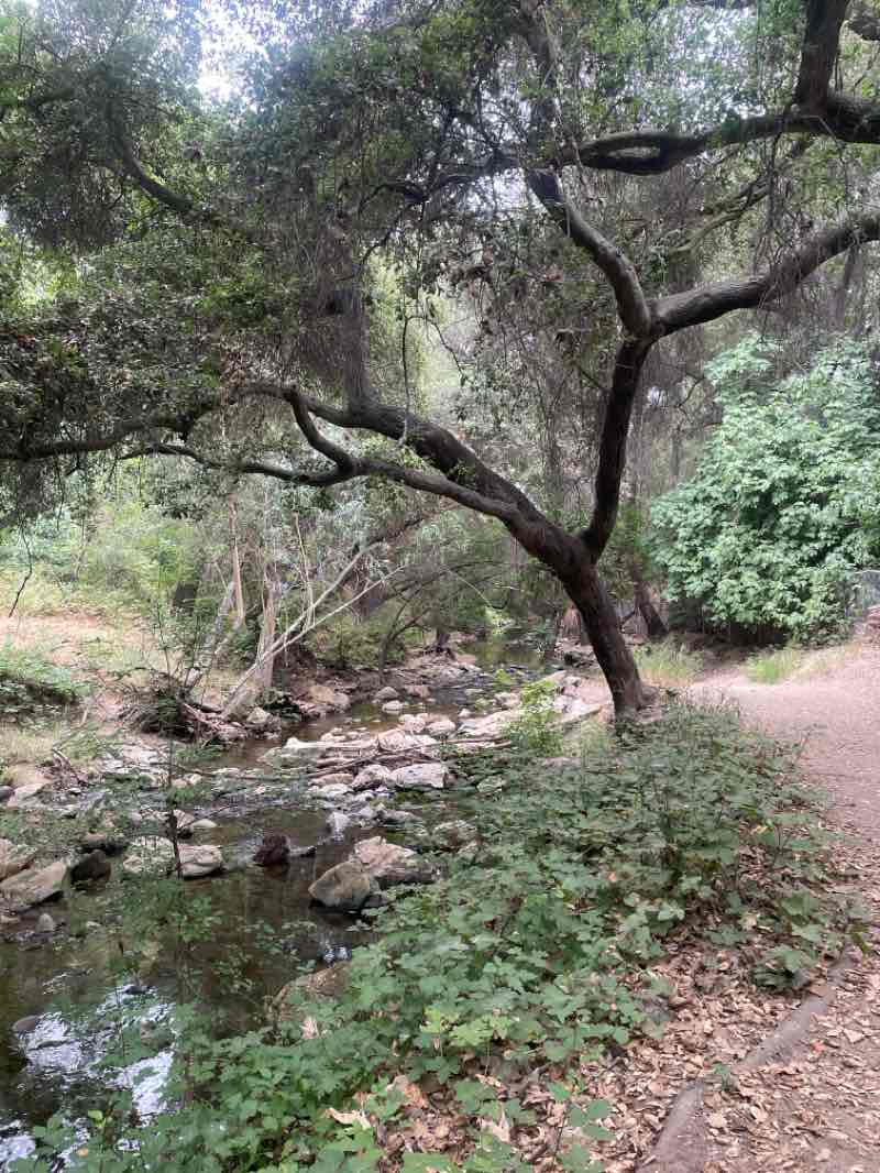 walking near me in Walnut Creek Park in summer
