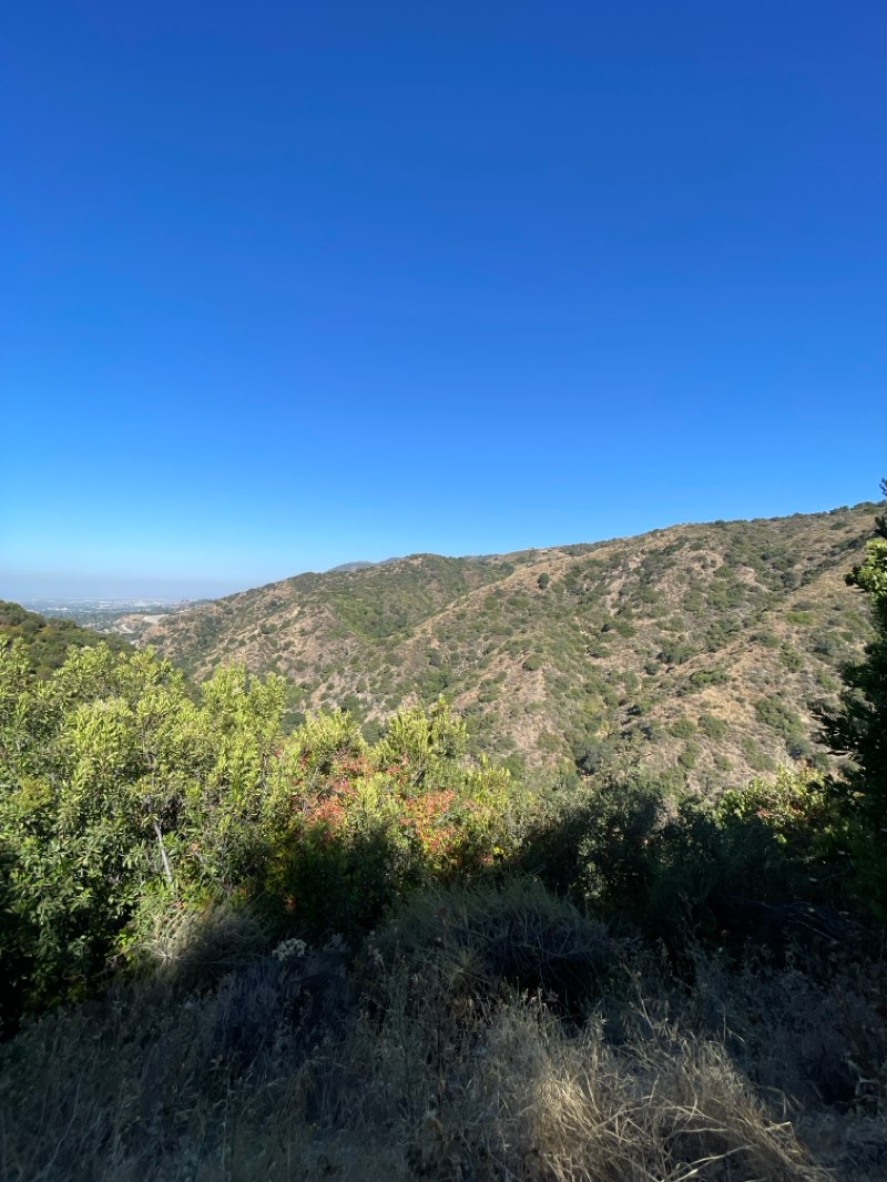 walking near me in San Gabriel Mountains National Monument in summer