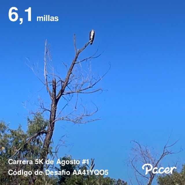 juvenalcastillo post 1