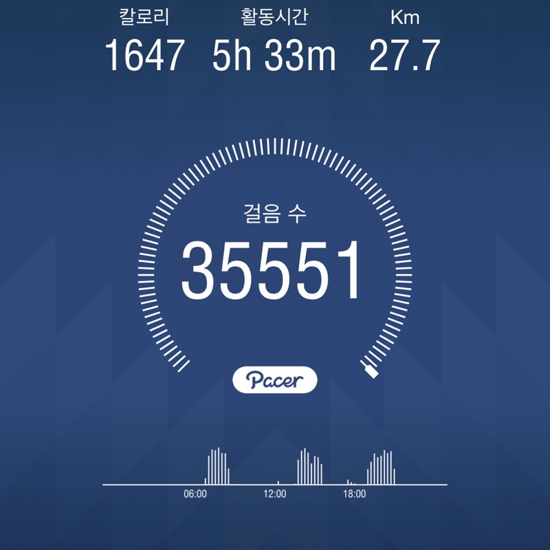 불다람쥐 post 1