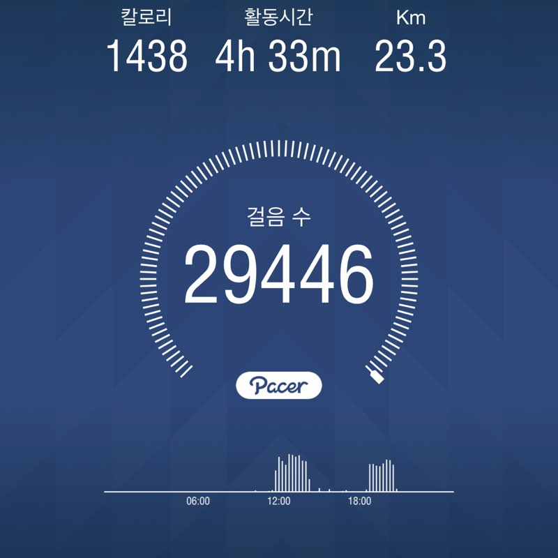 불다람쥐 post 1