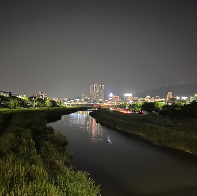 불다람쥐 post 2