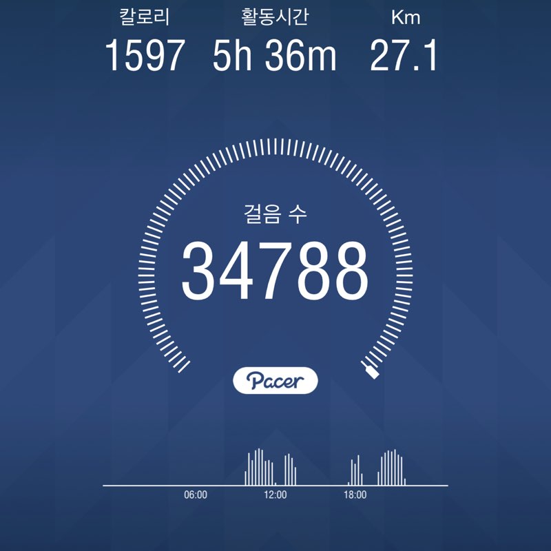 불다람쥐 post 1