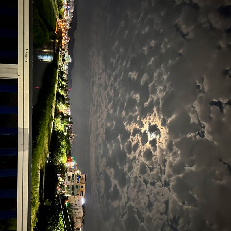 불다람쥐 post 2