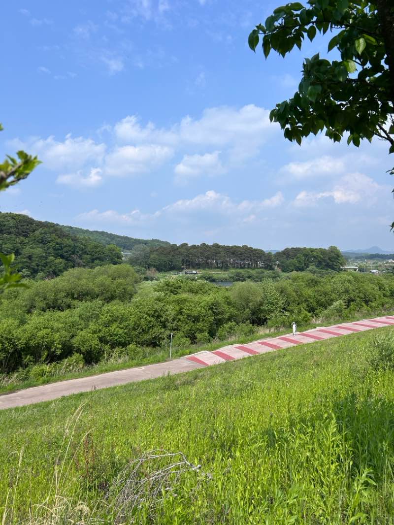 walking near me in 어린이 공원 in spring