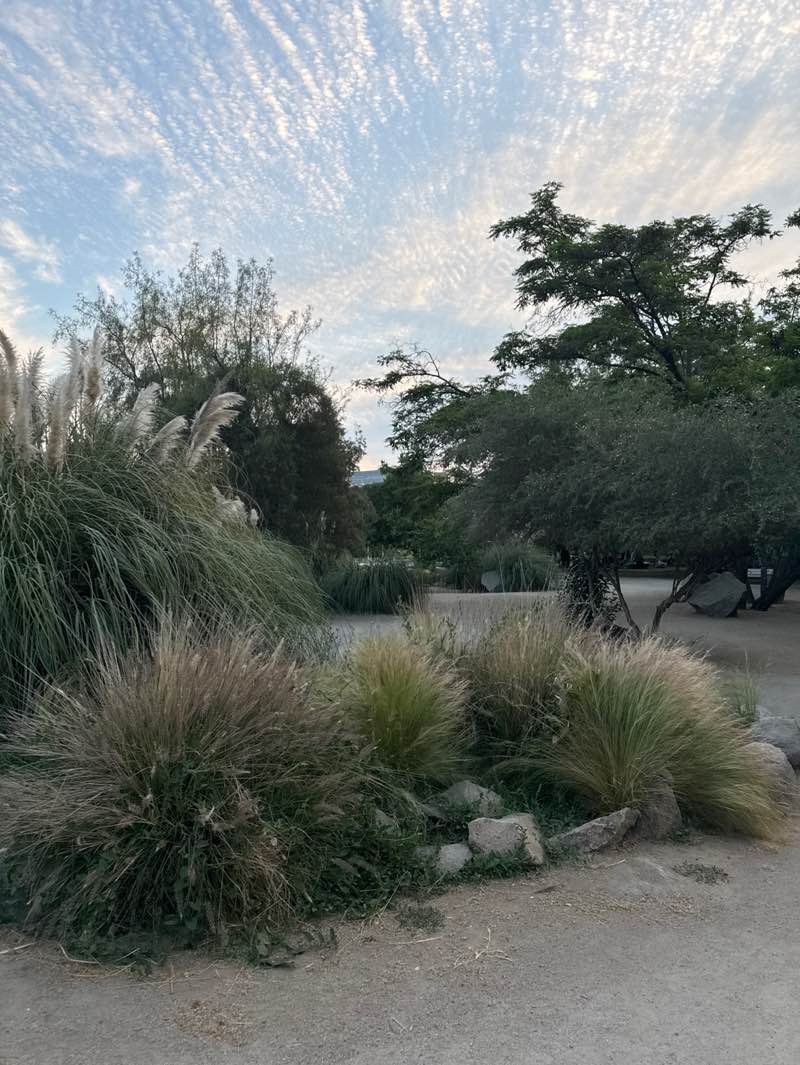 walking near me in Parque Juan Pablo II in spring