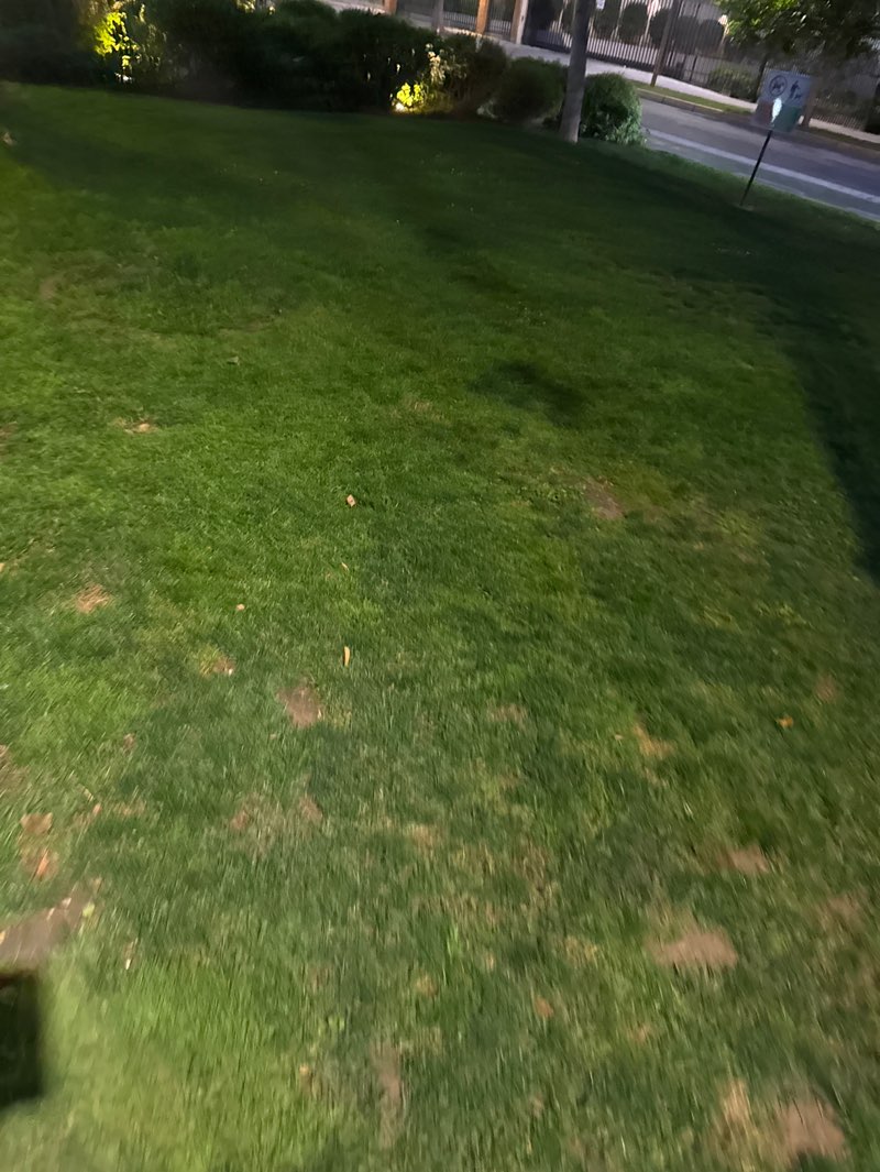 walking near me in Bandejón Central Alameda Bernardo O'Higgins in spring