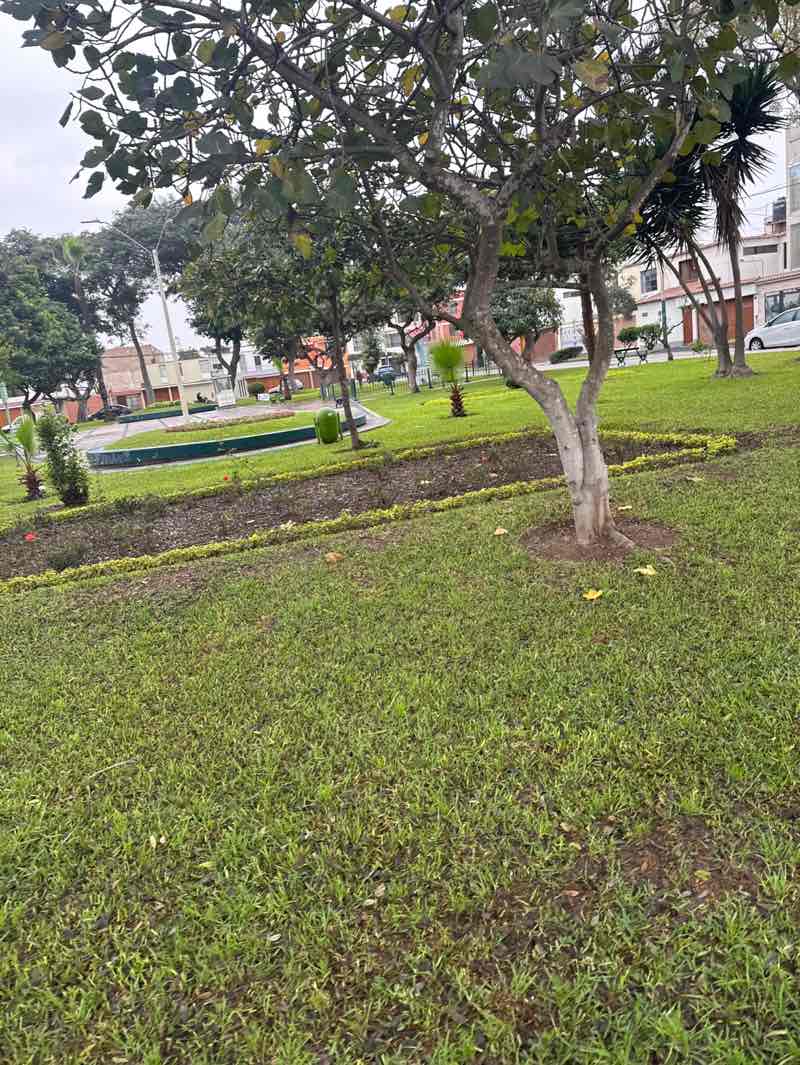 walking near me in Parque Colombia in spring