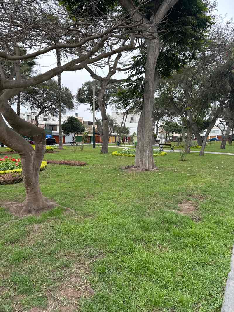 walking near me in Parque Argentina in spring