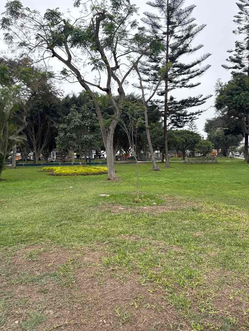 walking near me in Parque John F. Kennedy in spring