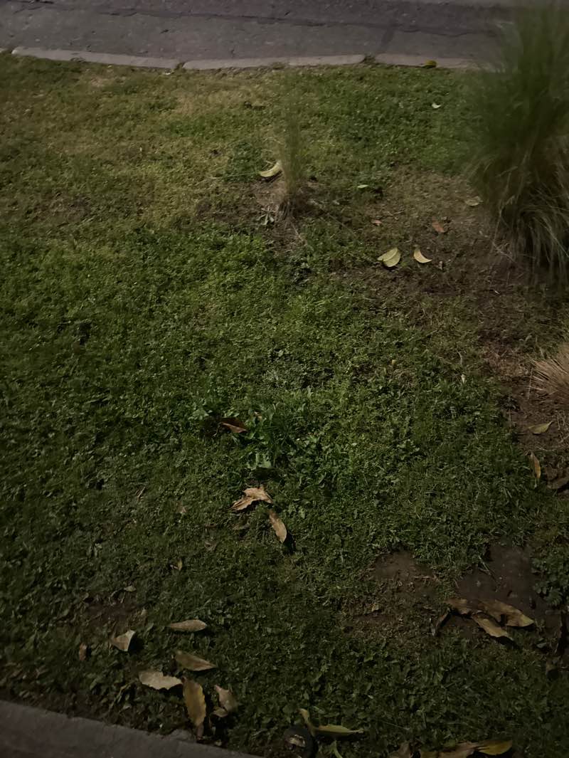 walking near me in Plaza Combate de La Concepción in spring