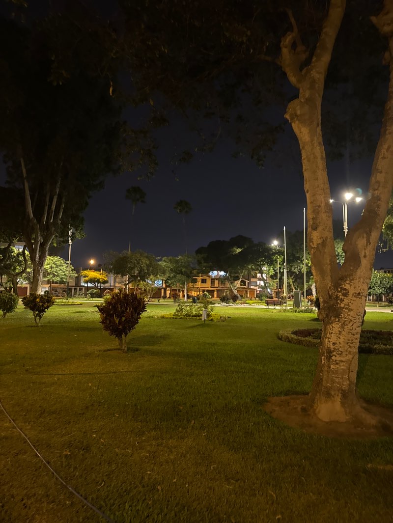 walking near me in Parque Los Alhelies in summer