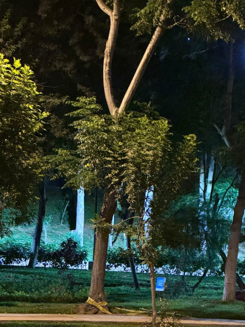 walking near me in Parque Ecológico Loma Amarilla in summer