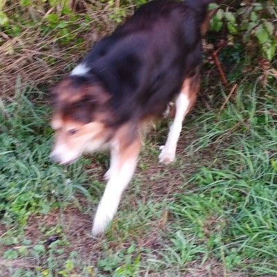 Jour après jour   Marley post image