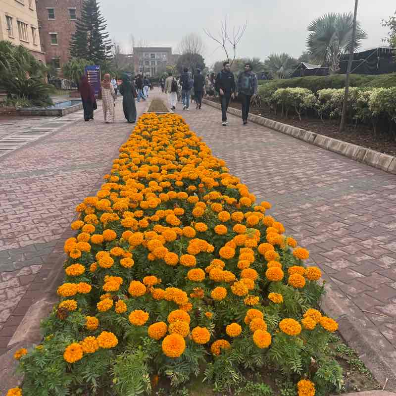 Pacers of Pakistan Akhlaq post image