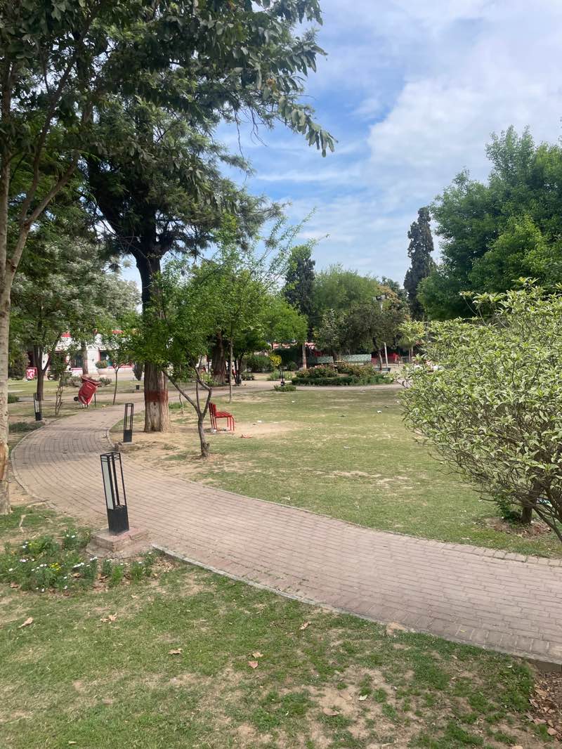 walking near me in Roomi Park in spring