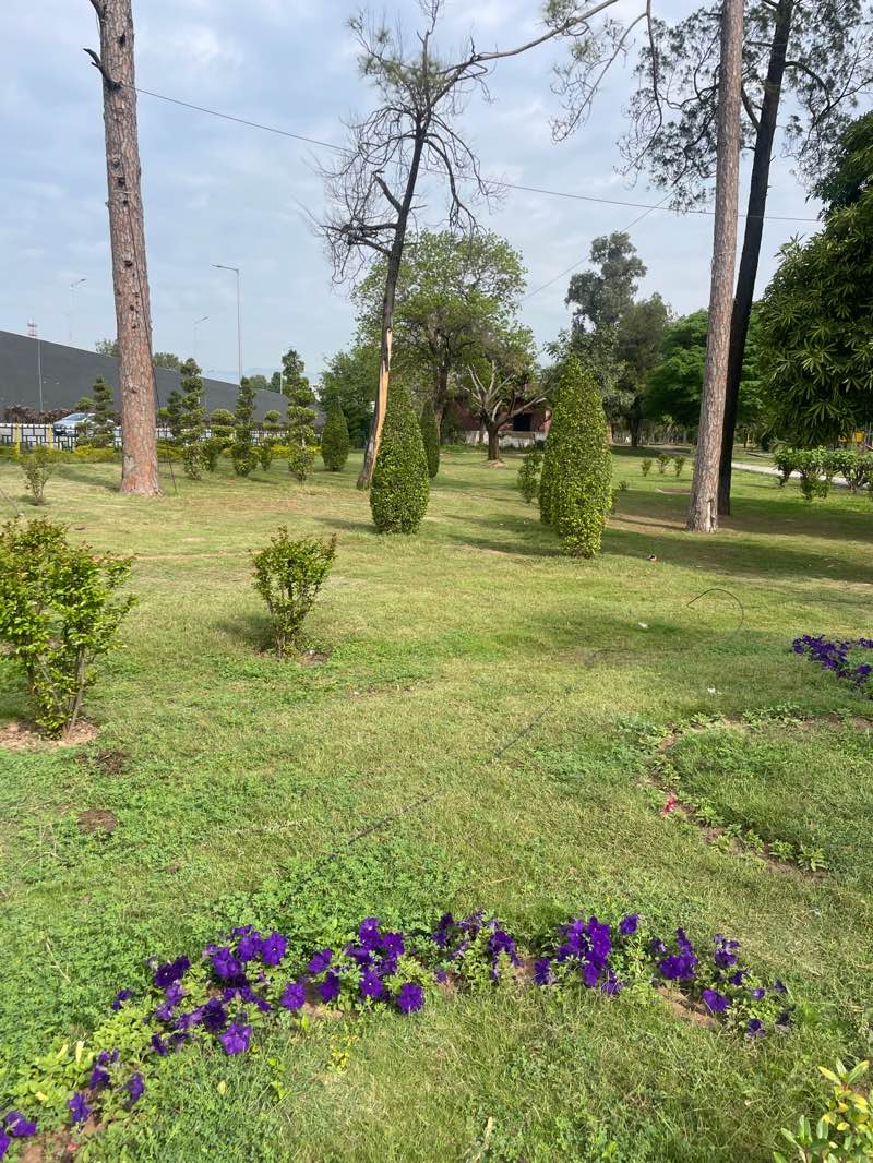 walking near me in Ankara Park in spring